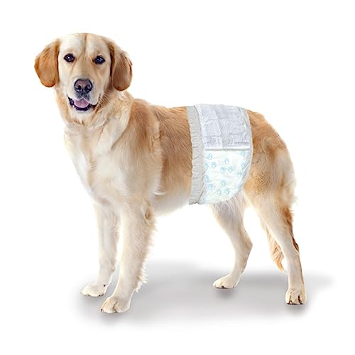 Image of Four Paws Wee-Wee Disposable Male Dog Wraps, Medium /Large, 12 Count | Protects against leaks, dog incontinence, marking, great for puppy training & travel, medium & large breeds