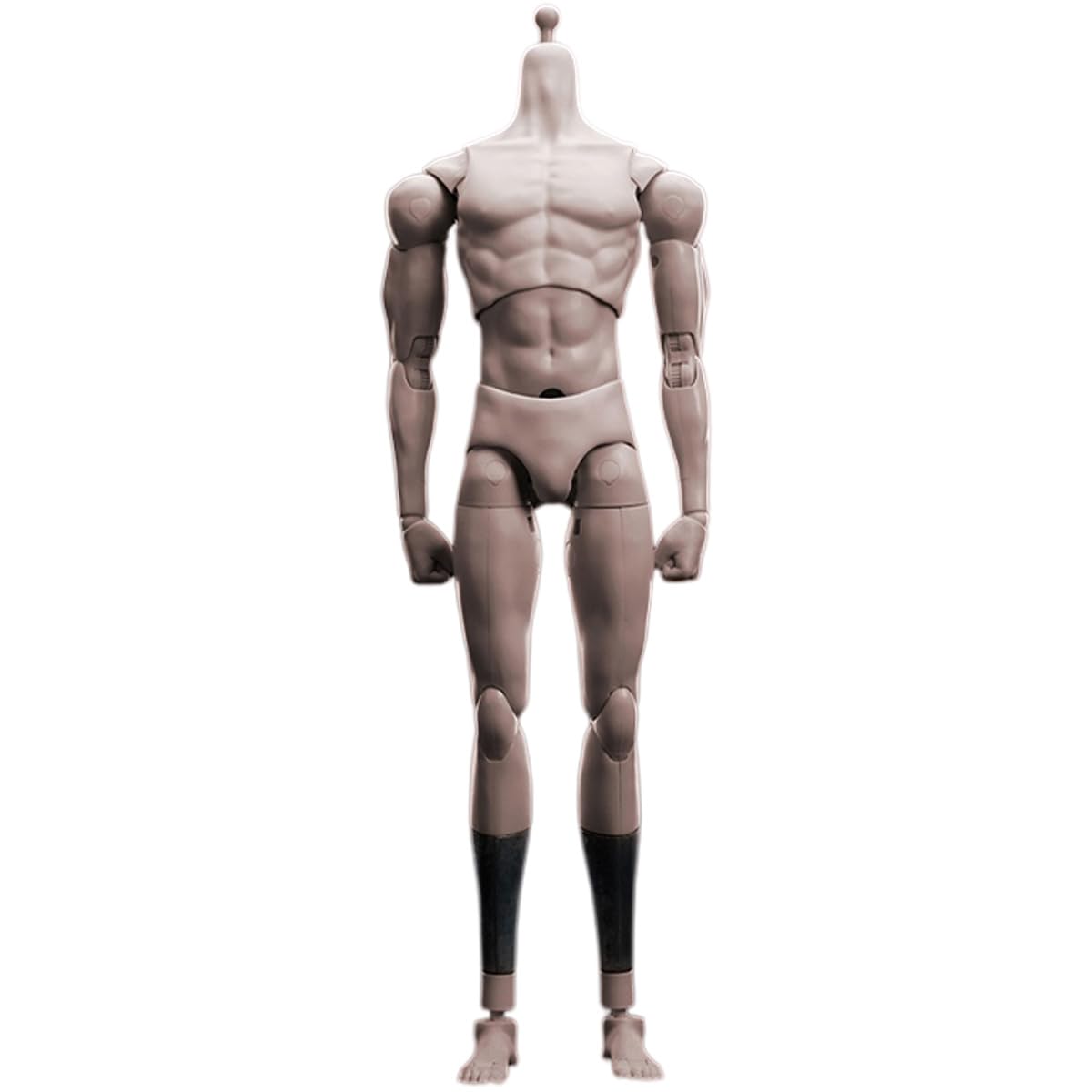 Amazon.co.jp: HiPlay Cosmic Creations 1/6 男性 フルギア 関節素体