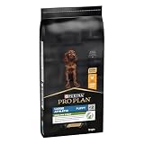 Purina Pro Plan Large Puppy Athletic Start Pienso para Perro Grande, Cachorro, Junior, Bebé con Pollo, saco de 12kg