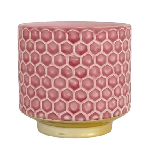 Nordring Ceramic Flower Pot Goldy - colorful Planter, Pot for plants sukkulents Size S (10 cm ø) Dia 4.125'' H 3.875'', Stoneware, rose