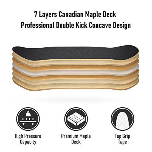 Jaoul Cruiser Skateboards For Beginners Complete Maple Skateboard 31 Inch For Girls Boys Youth Adults Kids Double Kick Standard Skateboard (Stag Patronus, 31") #TOP2