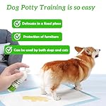 Dog Potty Training Spray & NO-GO Area Spray | Helps Train Puppies & Dogs Where to Potty | Dog Pee Training Spray | Suitable for Indoor & Outdoor Use | (1.6 Fl Oz Spray Set) - Image 3