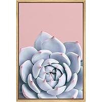 SIGNWIN Framed Canvas Wall Art Echeveria Eye of Typhoon in Pink Background Botanical Succulent Photography Realism Modern Closeup for Living Room, Bedroom, Office - 16