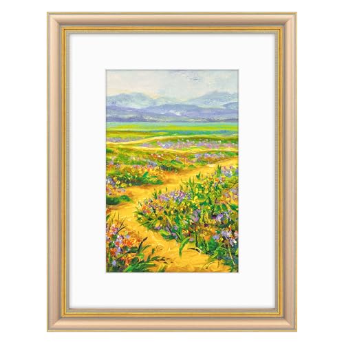 Image of Golden State Art,12x16 Ornate Picture Frame Holds 8x12 Photo,Champagne Gold | Includes plexiglass front,white mat,build-in hangers and buttons.Displays 8x12 photo on wall