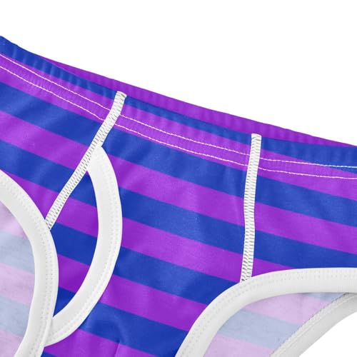 Purple Navy Stripe Toddler Boy's Underwear 2T4