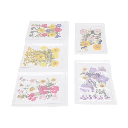 100 piezas flores secas prensadas para manualidades miniatura 3