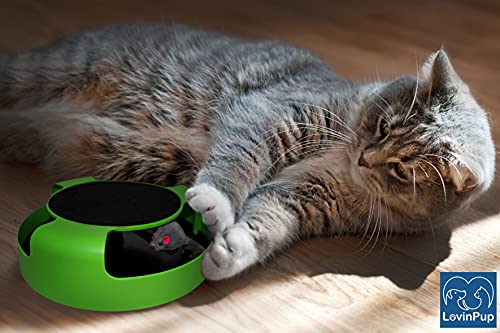 Lovinpup Interactive Cat Toy, Spinning Mouse Toy For Cats, Toy With Scratching Board And Running Mouse, Fun Cat Powered Toy, No Batteries Required #TOP3