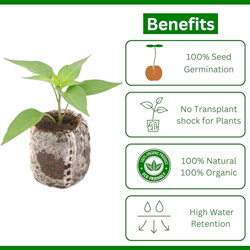 Image of Seedling Tray for Plants with Cocopeat - A 100% Organic Seed Germination Tray | Used as a Seed Germination kit for 100% Germination | 30mm Diameter (Pack of 100)