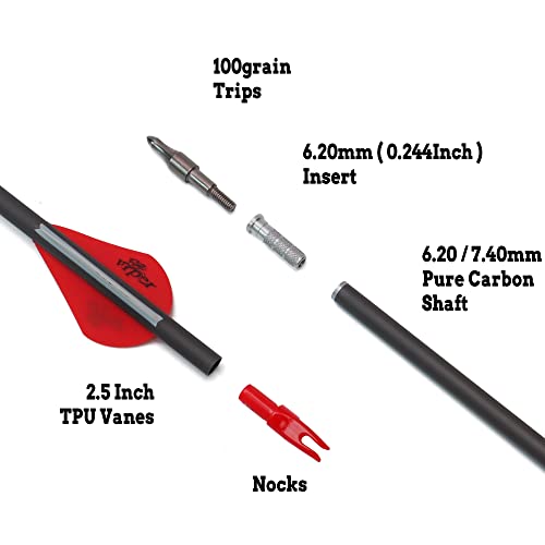 Hunting Archery Carbon Arrow 400 Spine With 2.5″ Vanes Removable Tips For Compound Bow &Recurve Bow (Pack Of 12) (31 Inch) #TOP1