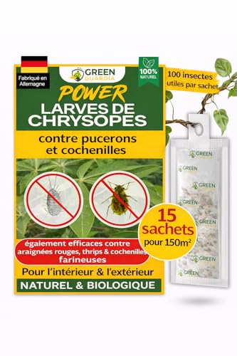 Œufs de larves de chrysopes GREEN GUARDIA contre pucerons et cochenilles, lot de 15 sachets