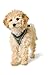 HUNTER Hundegeschirr HILO COMFORT, Farbe: anthrazit, Easy Step-In Geschirr für kleine bis mittlere Hunde, mit Netzmaterial, reflektierende Elemente, angenehm leicht, modernes Design, Größe: M-L