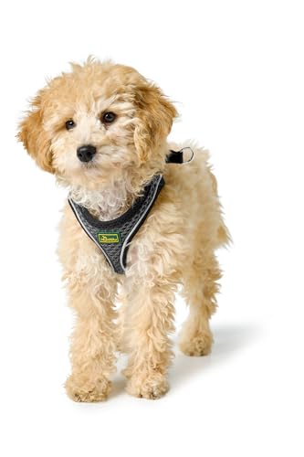 HUNTER Hundegeschirr HILO COMFORT, Farbe: anthrazit, Easy Step-In Geschirr für kleine bis mittlere Hunde, mit Netzmaterial, reflektierende Elemente, angenehm leicht, modernes Design Größe: M