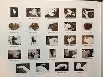 Unknown Binding Melt: The Photography of Eva Skold Westerlind Book