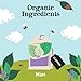 Clipper Tea Mint Herbal Teabags – Caffeine Free, USDA Organic, Great Hot or Iced – Refreshing, Natural, Fair & Delicious – 50 Tea Bags