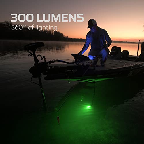 Nebo Submerser Led Underwater Fishing Light & Dock Light With 20Ft Length; Ipx8 Waterproof; Night Fishing Light For Crappie, Bass; Submersible Up To 30Ft; 300 Lumen #TOP3