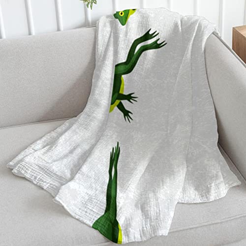 Couverture polaire grenouille en microfibre premium haute densité pour lit
