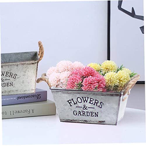 Plant hydroponic container en fer résistant pour balcon abrité