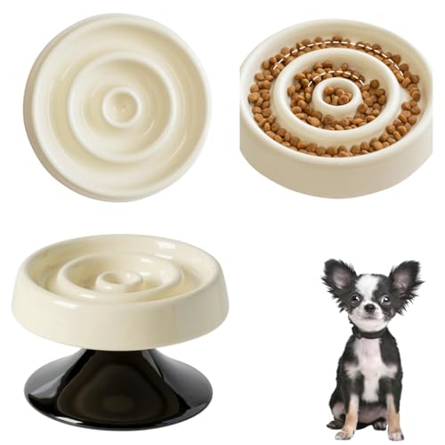 Lifetips OR[g` ` Lp X[t[h{E ؐ Hh~ ~ HZbg ^ L  􂢂₷ i-̌^^CvAC{[j