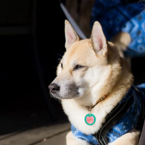 SUPERFINDINGS 14 Stk 7 Farben Kreisförmiger Hundemarken Schalldämpfer Mit Nachleuchten Schützt Tieranhänger Und Gravur Namensschild Hülle Für Halsband Reduziert Lärm Bedeckt ID Beschützer Aus Silikon