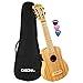 Cascha E-Bamboo Natural Sopran Ukulele Erwachsene & Kinder - inkl. 3 Plektren & Tasche - Bambus-Ukulele als Bühnenbegleiter - hochwertige Carbon-Saiten - integriertes Stimmgerät & 3-Band-Equalizer