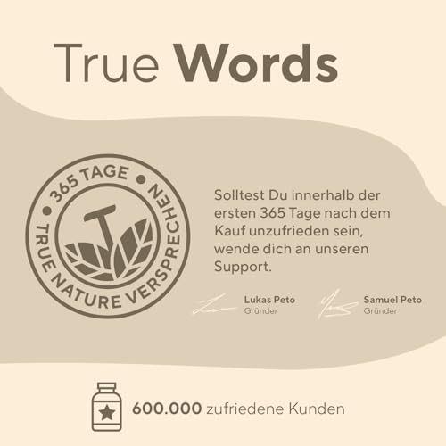 Vitamin B3 Niacin - Hochdosiert: 500mg Nicotinamid - 365 Kapseln - 1 Jahr Vorrat - Flushfree - unterstützt Energiestoffwechsel, Haut und Nerven* - Vegan & Deutsche Produktion - TRUE NATURE