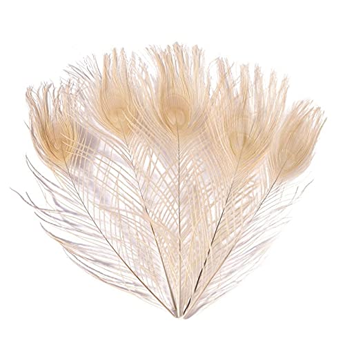 Pióra z pióra pawia, Opakowanie 10 piór pawich 25-30 cm w kolorze naturalnym