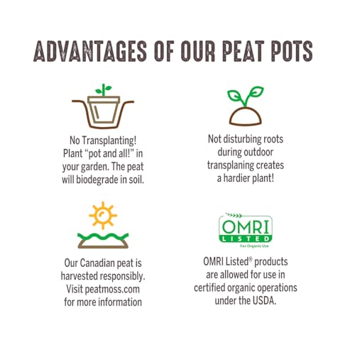 Image of Jiffy Biodegradable Peat Pots for Seedlings, 5 Inch, 100 Pack