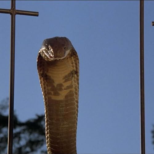 『Kiss the Goat Episode 58: Jaws of Satan (1981)』のカバーアート