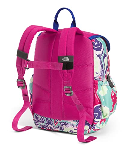 The North Face Youth Mini Explorer Backpack, Peak Purple Terrain Multi Print/Fuschia Pink, One Size #TOP2