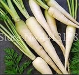 zanahoria blanca nombre Tipo de la unidad: porción (100 pedazos / porción), Peso del paquete: (. 0.04lb) 0,02 kg, tamaño del paquete: 11cm x 11cm x 5cm (4.33in x 4.33in x 1.97in), Tipo de producto: Bonsai, el cultivo de dificultad Grado: muy fácil, Maceta: Excluidos