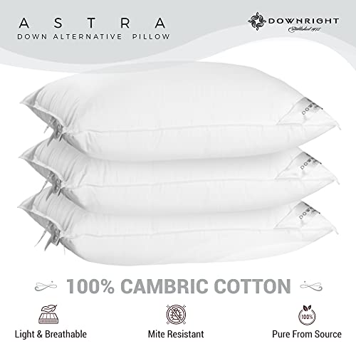 Downright 233 Thread Count 27 Oz Astra Likedown Pillow, 20" X 26", Standard 20 X 26 #TOP2