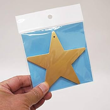 Amazon.co.jp: 短冊 星型 （穴アキ） 金・銀各50枚セット/ たん