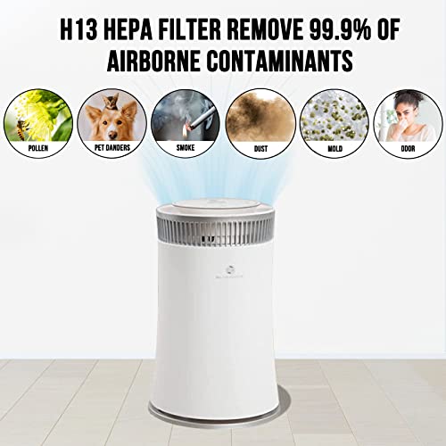 Premium Air Purifiers For Home Large Room, Air Purifier For Bedroom H13 True Hepa Filter Removes Up To 99.97% Of Pet Dust Smoke Pollen, Air Cleaner For Office, Living Room - Silveronyx 5-Speed White #TOP2