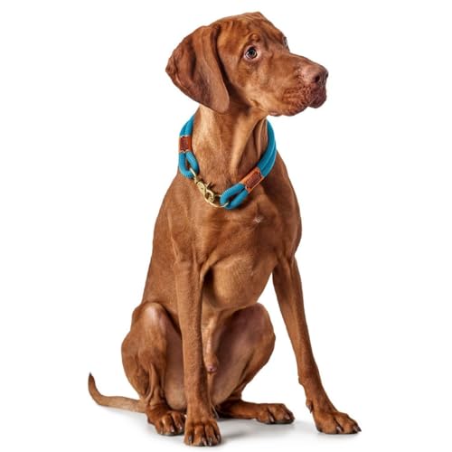 HUNTER Oss Halsung, Halsband für Hunde, Tau, Seil, Messing-Karabiner, Maritim, Petrol, L