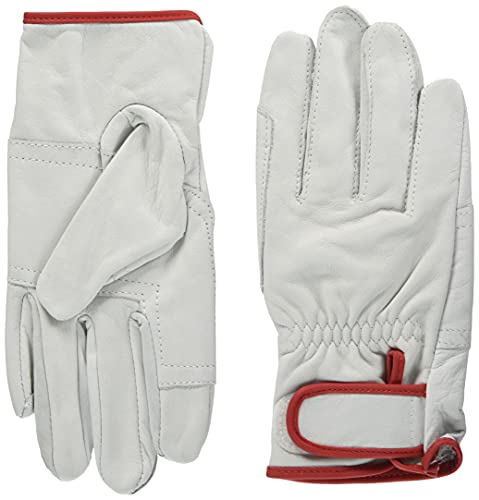 [V] {v }WbN t CG-718 STCY (1o)