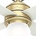 Hunter Hepburn Indoor Ceiling Fan with LED Light and Wall Control