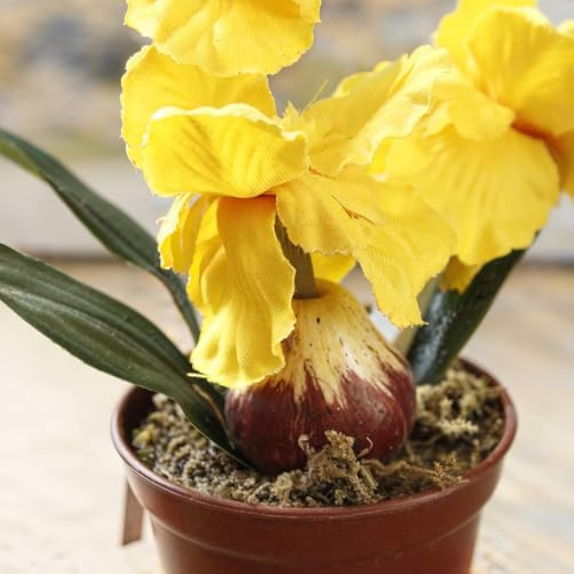 Purple Artificial Iris Flower Plants Decorations