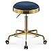 JHSLXD Taburete de peluquería de Acero Inoxidable, Taburete elevable Taburete Giratorio Peluquería Dorada Tienda de Maquillaje Taburete con Ruedas Tienda de manicura Taburete Redondo Decorativo,Azul