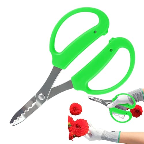 tondeuse à gazon, sécateur | Cisaille à gazon en acier inoxydable - Ciseaux de jardinage de précision, ciseaux de fleuriste, sécateur manuel de jardin pour moins d'effort