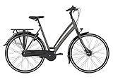 Gazelle Chamonix 28 Zoll Trekkingrad 8-Gang Freilaufnabe braun