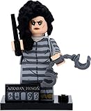 👍 Der komplette Inhalt der LEGO Überraschungstüte ist enthalten (Figur, Stellplatte, Zubehör und Anleitung)