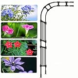 ☞ Einfache Installation: Wandmontage, mit Montagezubehör, einfach zu installieren, geeignet für jede Umgebung und jeden Ort, kann allein oder mehrere nebeneinander als Gartenkorridor verwendet werden, fügen Sie Ihrem Garten eine schöne Landschaft hinzu.