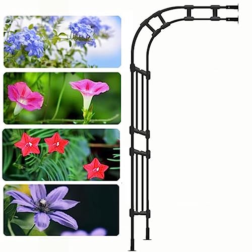 Arche de jardin murale métal demi-côté support plantes grimpantes treillis 150cm