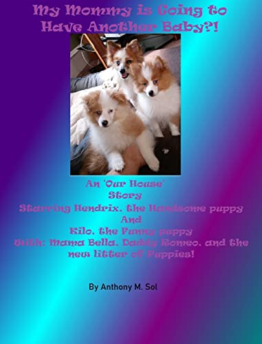 My Mommy is going to Have Another Baby!?: An 'Our House' story ('Our House' Books)