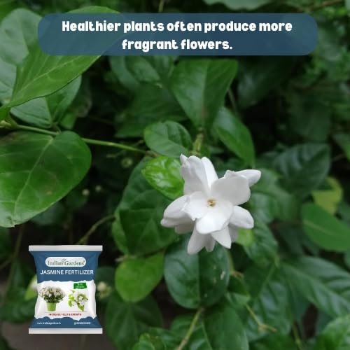 Image of Indian Gardens - Jasmine Organic Fertilizer | Plant Food For Flowering Plants | Flower Booster (5 Kg)