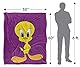 LOONEY TUNES Silky Touch Kuscheldecke, superweich, 152 x 127 cm