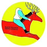  Reino Animal