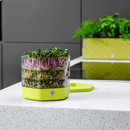Foto von Keimschale Set mit 3 Etagen ø17 cm - Keimsprossenbox Set für Sprossen, Kressesamen, Microgreens - Sprossenturm mit 3 Kresse Anzuchtschalen - Design Kressesieb aus hochwertigem Kunststoff (Avocado)