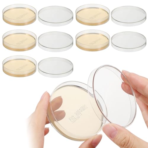 Boîtes de Pétri pour expériences de microbiologie et éducation 7cm
