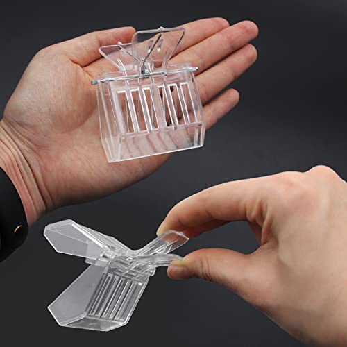 Abustle pig Pacote com 6 clipes apanhadores de gaiola de abelha rainha de plástico transparente kit